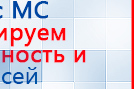 СКЭНАР-1-НТ (исполнение 01)  купить в Красногорске, Аппараты Скэнар купить в Красногорске, Скэнар официальный сайт - denasvertebra.ru